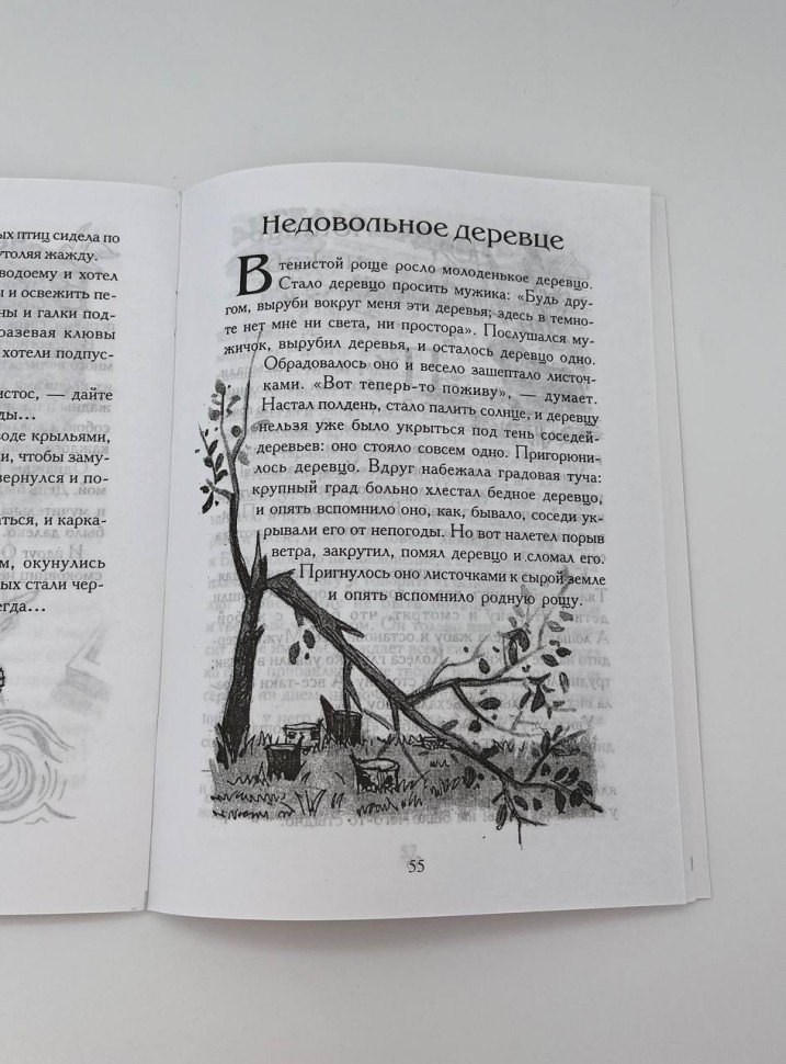 Зернятка 